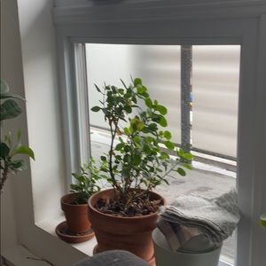 Meet your Posher, Irina